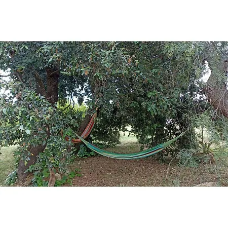 Giganti Verdi - Pepe Orbetello